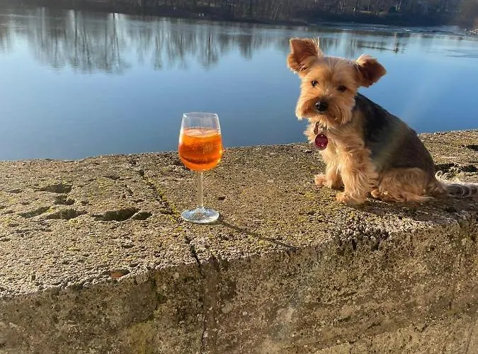 Lechraum In Lägenhet Landsberg am Lech